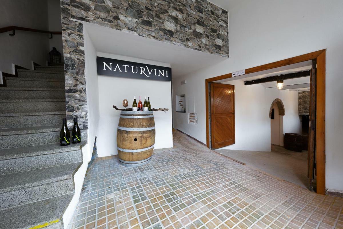 Penzion A Vinarstvi Naturvini Miroslav  Zewnętrze zdjęcie